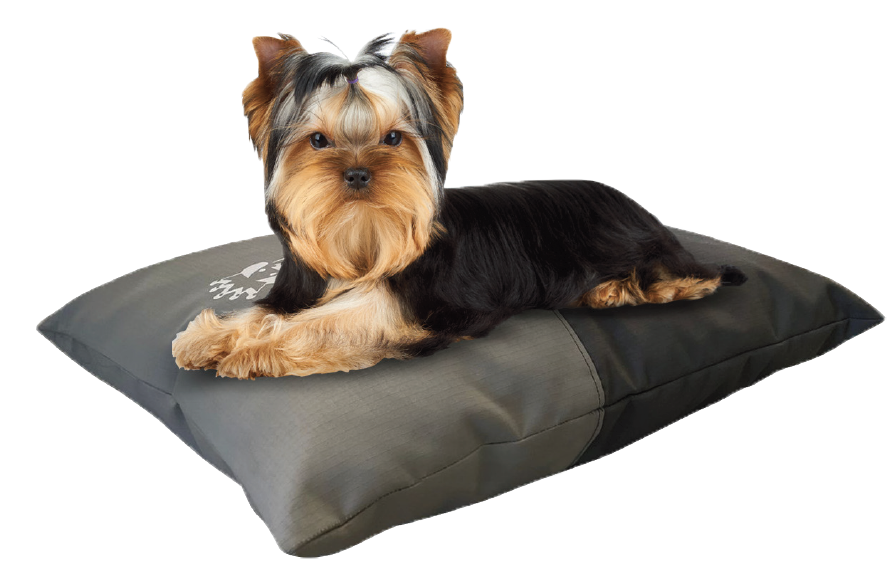 small dog bed 2